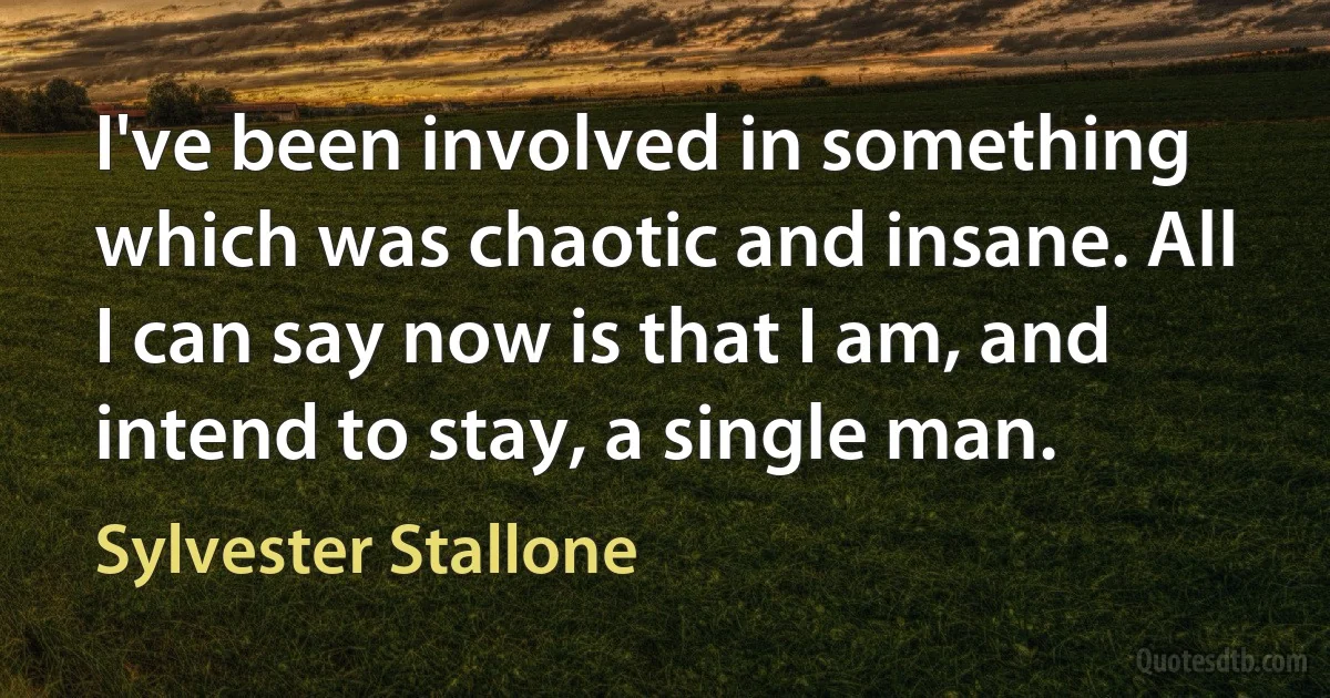 I've been involved in something which was chaotic and insane. All I can say now is that I am, and intend to stay, a single man. (Sylvester Stallone)