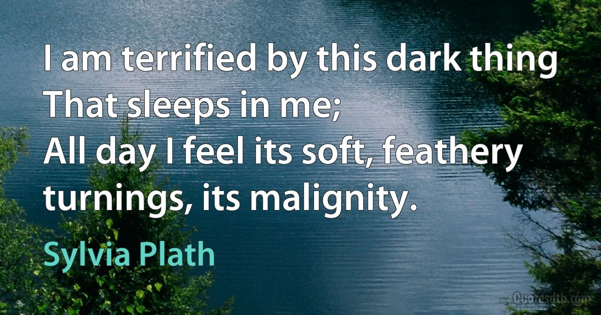 I am terrified by this dark thing
That sleeps in me;
All day I feel its soft, feathery turnings, its malignity. (Sylvia Plath)