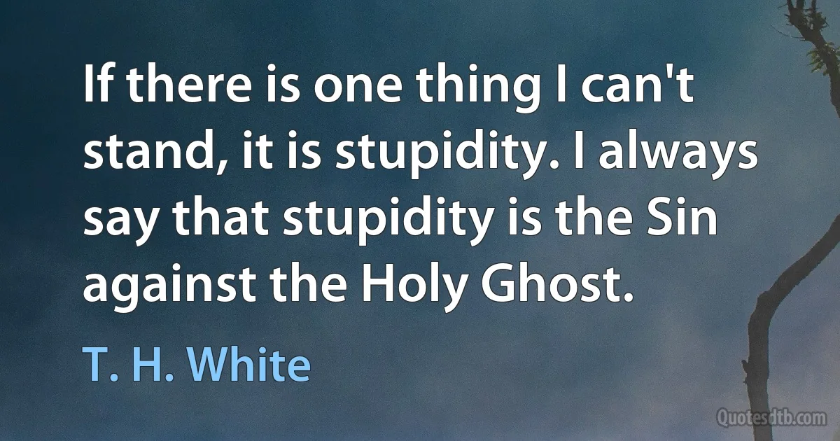 If there is one thing I can't stand, it is stupidity. I always say that stupidity is the Sin against the Holy Ghost. (T. H. White)