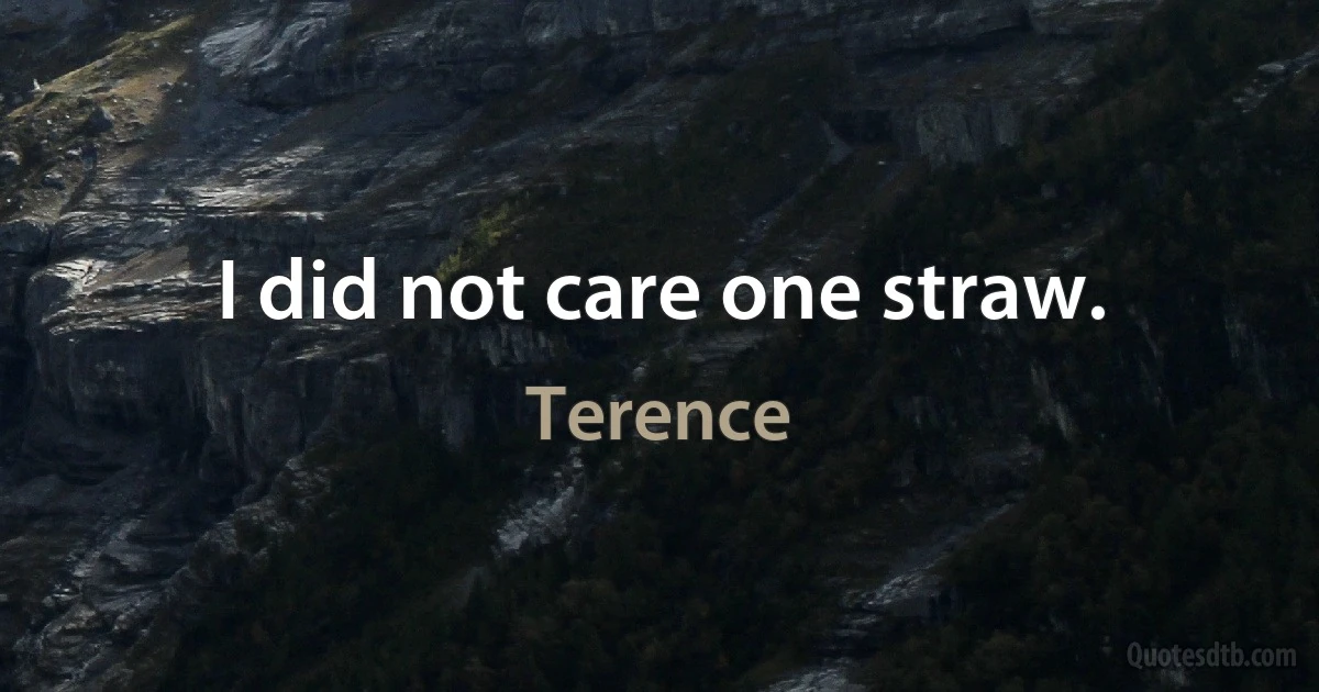 I did not care one straw. (Terence)