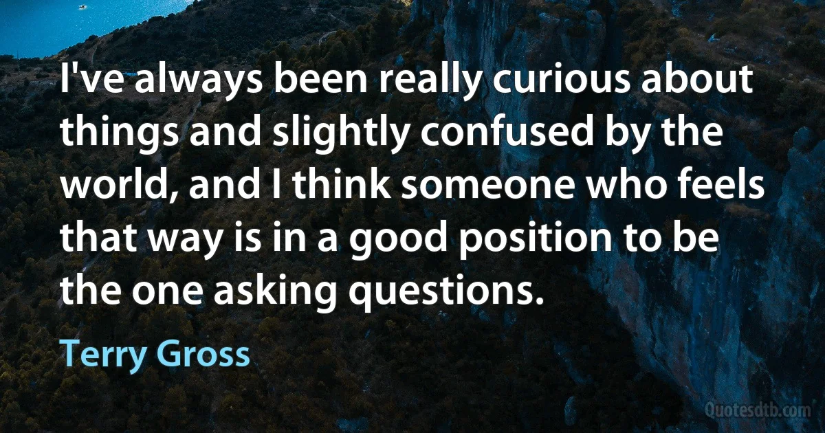 I've always been really curious about things and slightly confused by the world, and I think someone who feels that way is in a good position to be the one asking questions. (Terry Gross)