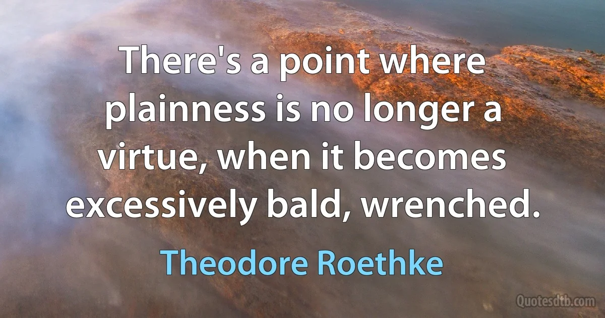 There's a point where plainness is no longer a virtue, when it becomes excessively bald, wrenched. (Theodore Roethke)