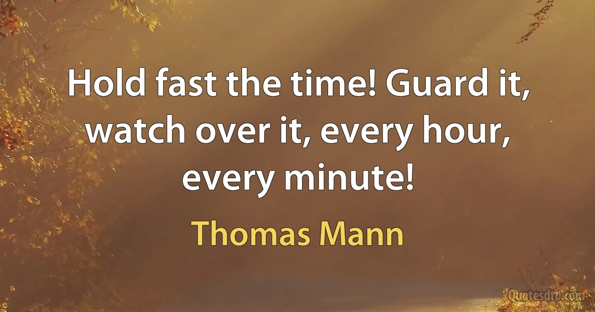 Hold fast the time! Guard it, watch over it, every hour, every minute! (Thomas Mann)