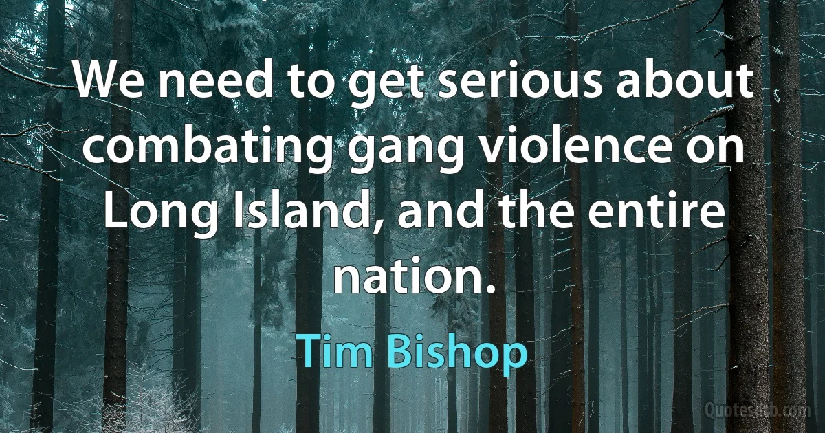 We need to get serious about combating gang violence on Long Island, and the entire nation. (Tim Bishop)