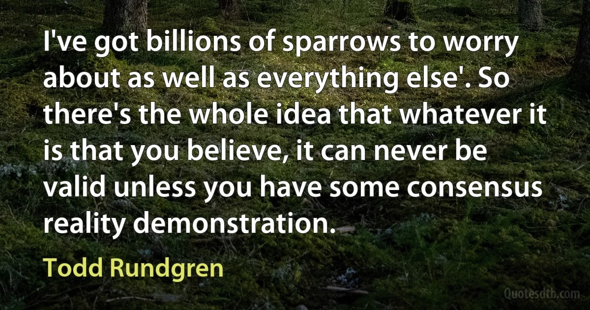 I've got billions of sparrows to worry about as well as everything else'. So there's the whole idea that whatever it is that you believe, it can never be valid unless you have some consensus reality demonstration. (Todd Rundgren)