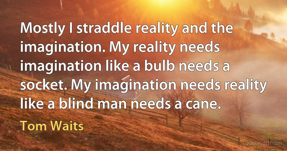 Mostly I straddle reality and the imagination. My reality needs imagination like a bulb needs a socket. My imagination needs reality like a blind man needs a cane. (Tom Waits)