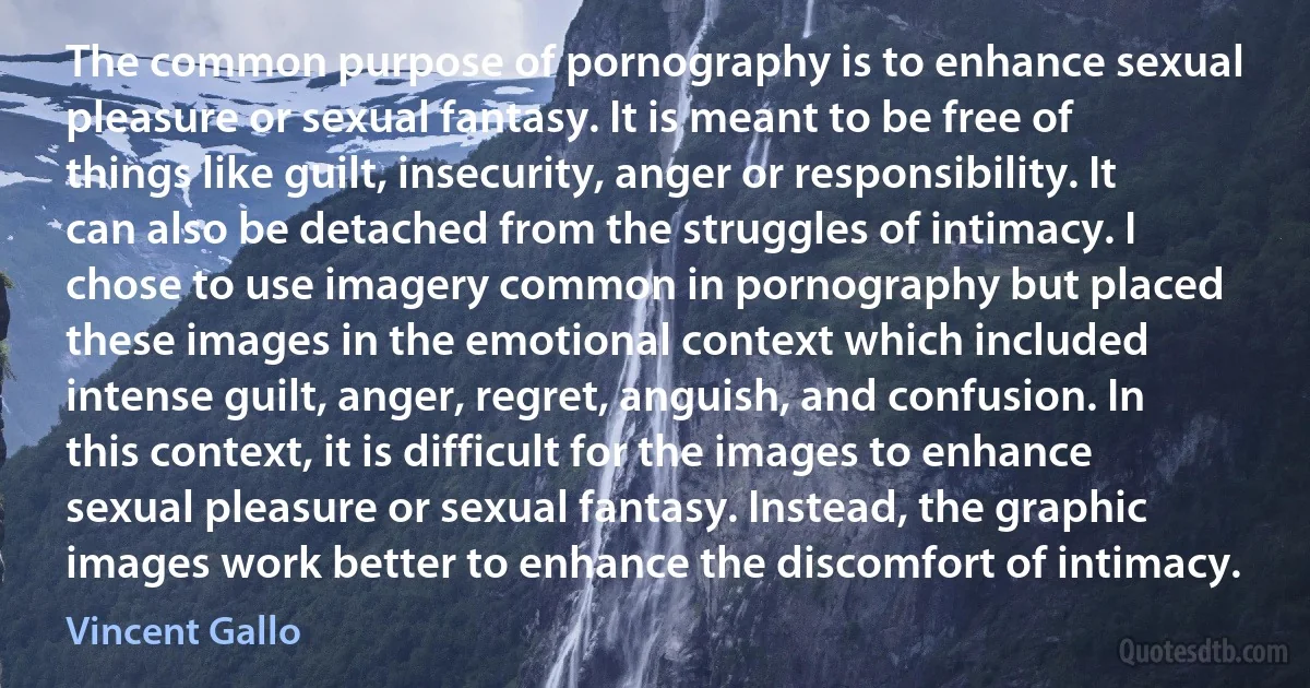 The common purpose of pornography is to enhance sexual pleasure or sexual fantasy. It is meant to be free of things like guilt, insecurity, anger or responsibility. It can also be detached from the struggles of intimacy. I chose to use imagery common in pornography but placed these images in the emotional context which included intense guilt, anger, regret, anguish, and confusion. In this context, it is difficult for the images to enhance sexual pleasure or sexual fantasy. Instead, the graphic images work better to enhance the discomfort of intimacy. (Vincent Gallo)