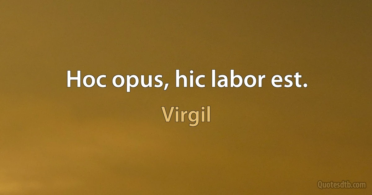 Hoc opus, hic labor est. (Virgil)