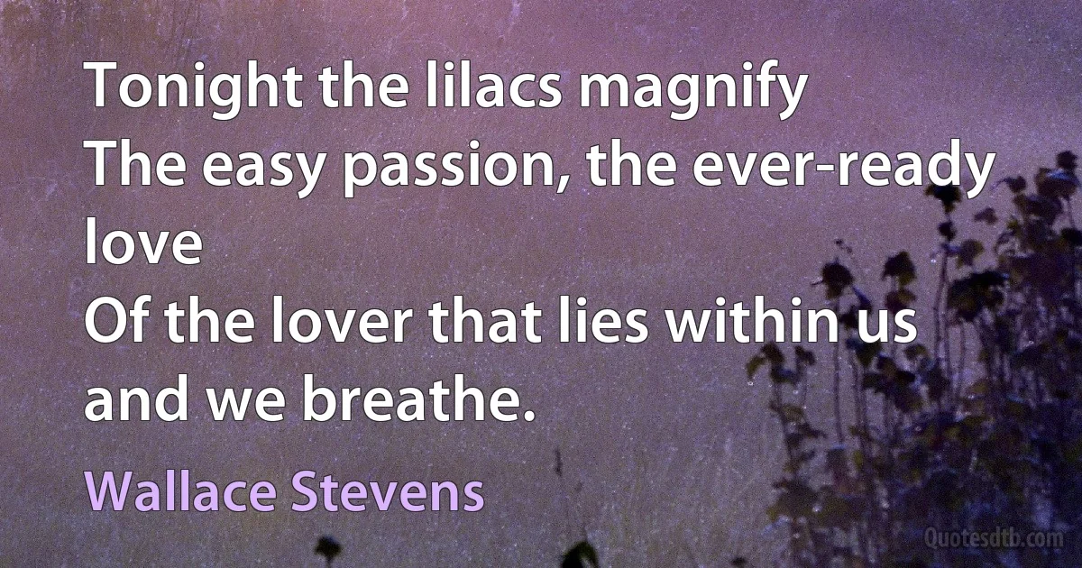 Tonight the lilacs magnify
The easy passion, the ever-ready love
Of the lover that lies within us and we breathe. (Wallace Stevens)