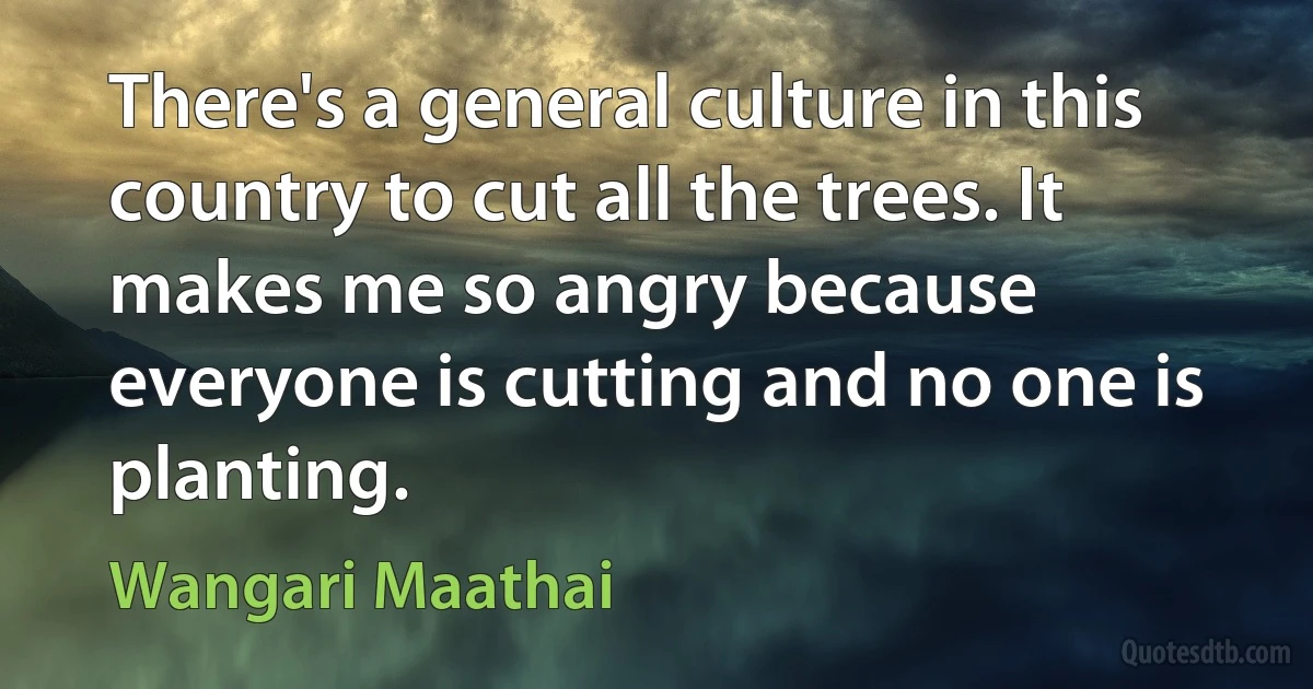 There's a general culture in this country to cut all the trees. It makes me so angry because everyone is cutting and no one is planting. (Wangari Maathai)