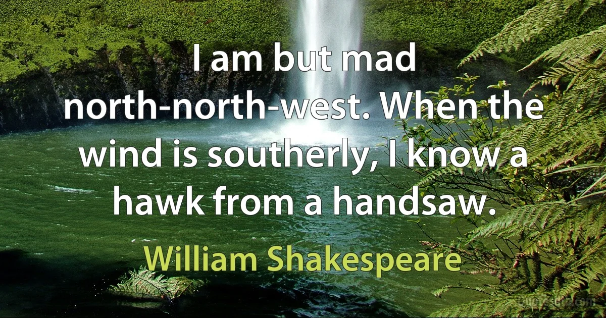 I am but mad north-north-west. When the wind is southerly, I know a hawk from a handsaw. (William Shakespeare)