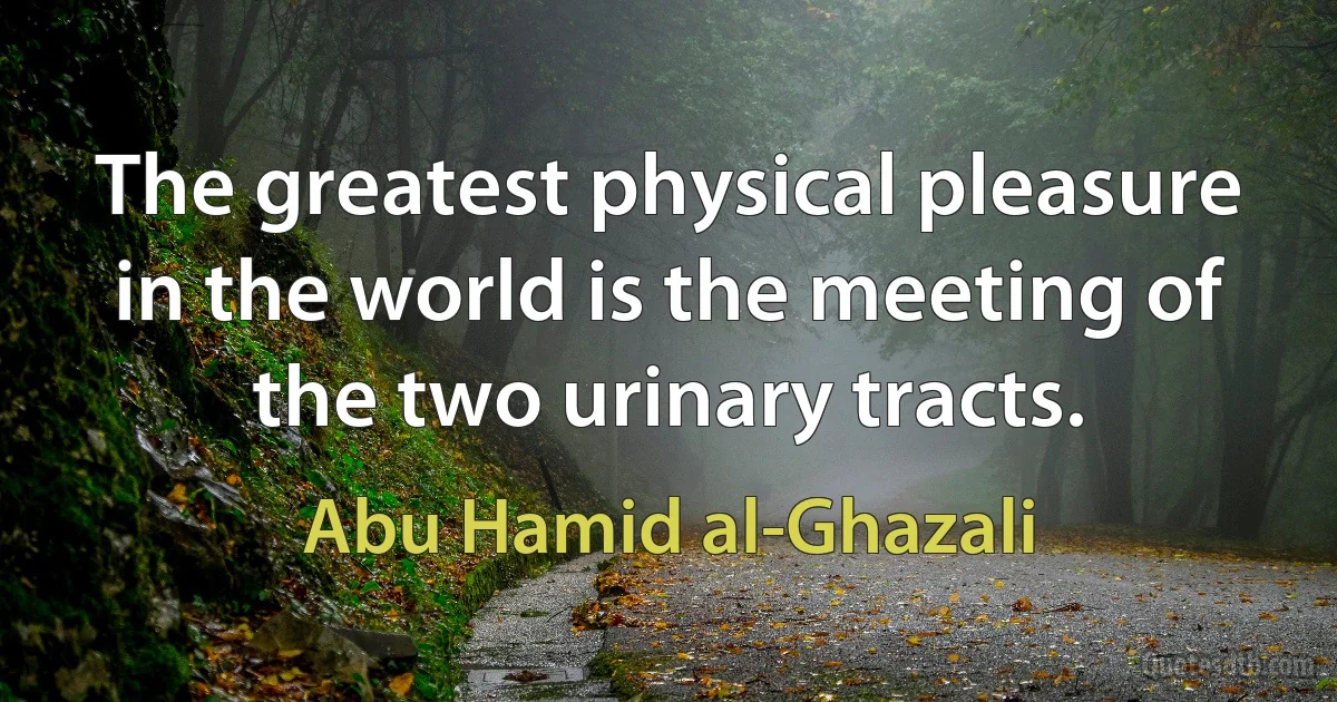 The greatest physical pleasure in the world is the meeting of the two urinary tracts. (Abu Hamid al-Ghazali)