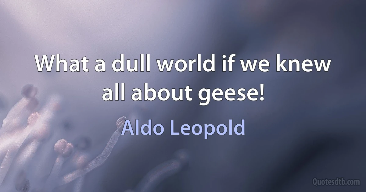 What a dull world if we knew all about geese! (Aldo Leopold)