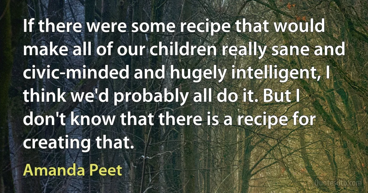 If there were some recipe that would make all of our children really sane and civic-minded and hugely intelligent, I think we'd probably all do it. But I don't know that there is a recipe for creating that. (Amanda Peet)