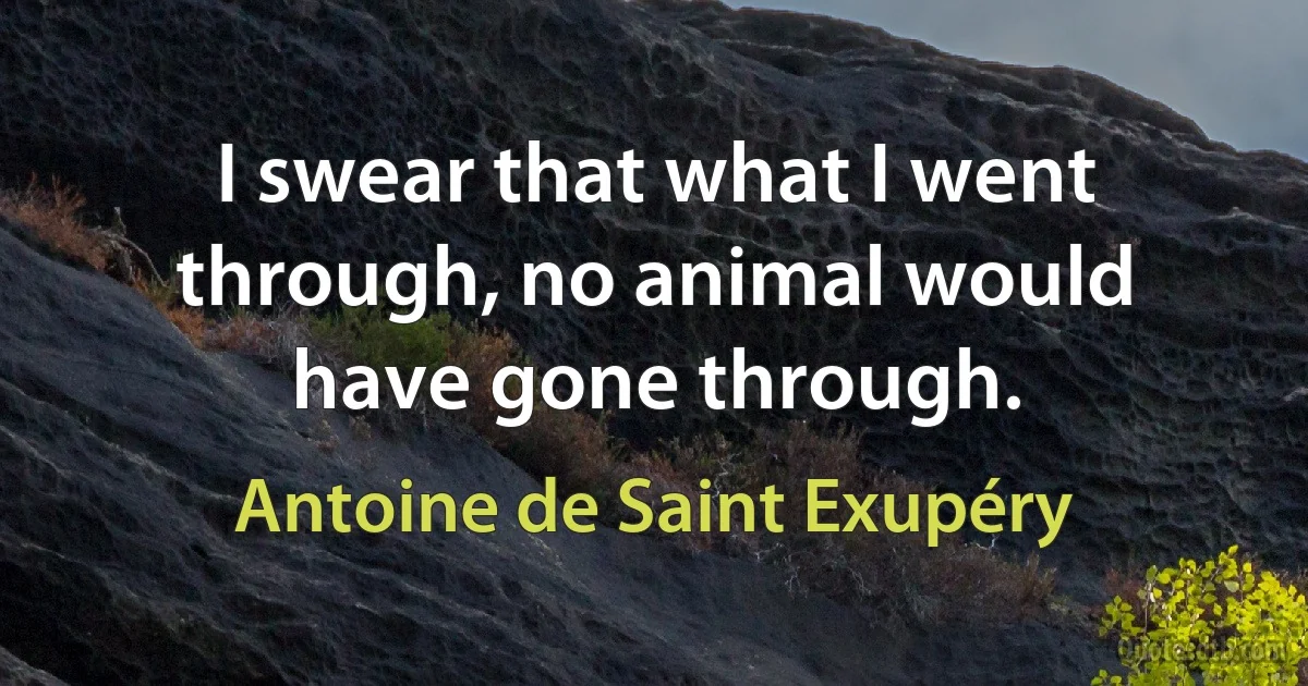 I swear that what I went through, no animal would have gone through. (Antoine de Saint Exupéry)