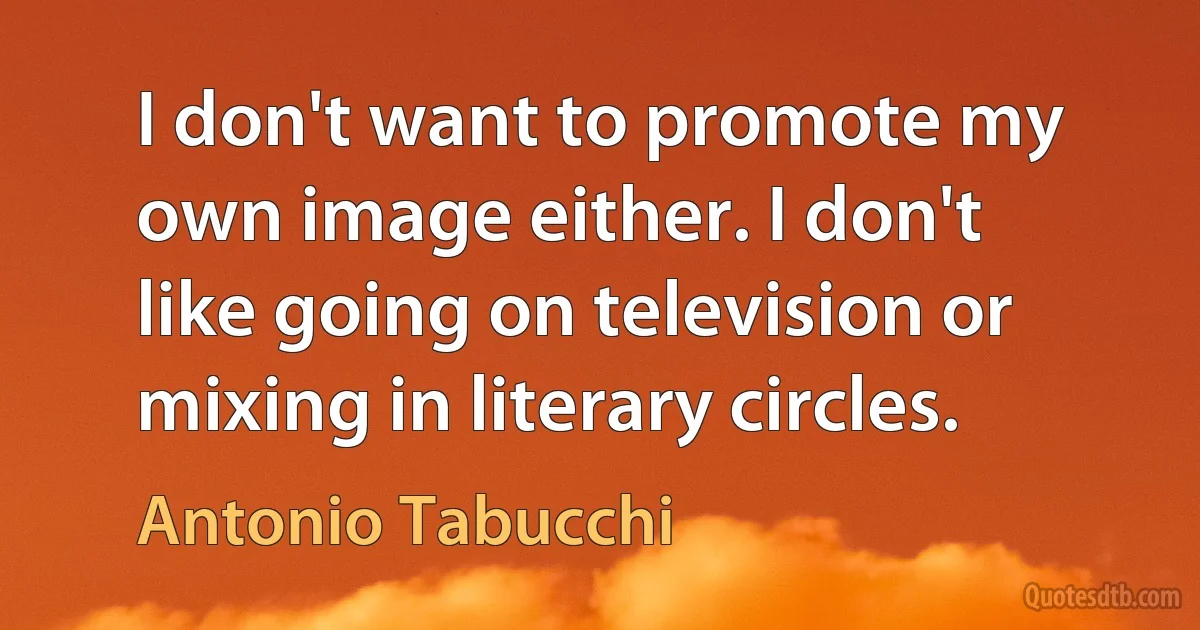 I don't want to promote my own image either. I don't like going on television or mixing in literary circles. (Antonio Tabucchi)