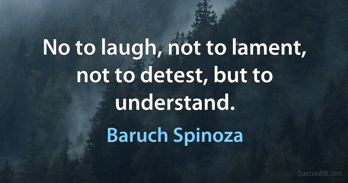 No to laugh, not to lament, not to detest, but to understand. (Baruch Spinoza)