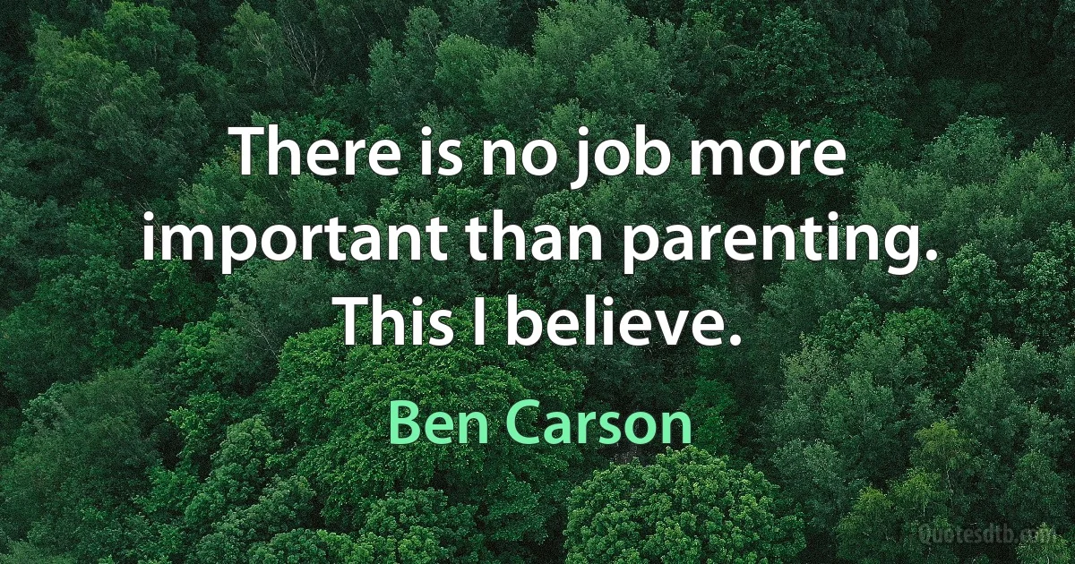 There is no job more important than parenting. This I believe. (Ben Carson)