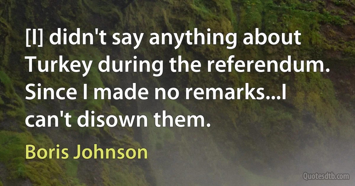 [I] didn't say anything about Turkey during the referendum. Since I made no remarks...I can't disown them. (Boris Johnson)