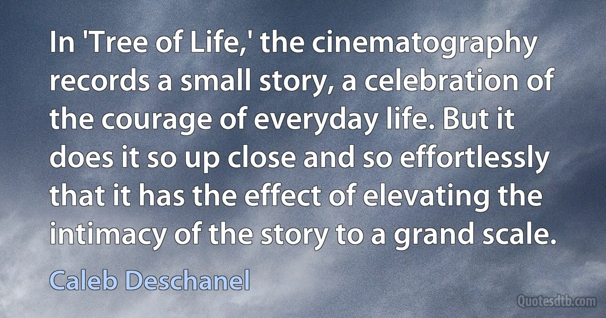 In 'Tree of Life,' the cinematography records a small story, a celebration of the courage of everyday life. But it does it so up close and so effortlessly that it has the effect of elevating the intimacy of the story to a grand scale. (Caleb Deschanel)