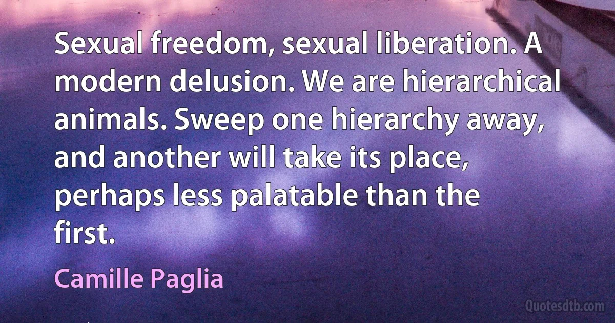 Sexual freedom, sexual liberation. A modern delusion. We are hierarchical animals. Sweep one hierarchy away, and another will take its place, perhaps less palatable than the first. (Camille Paglia)