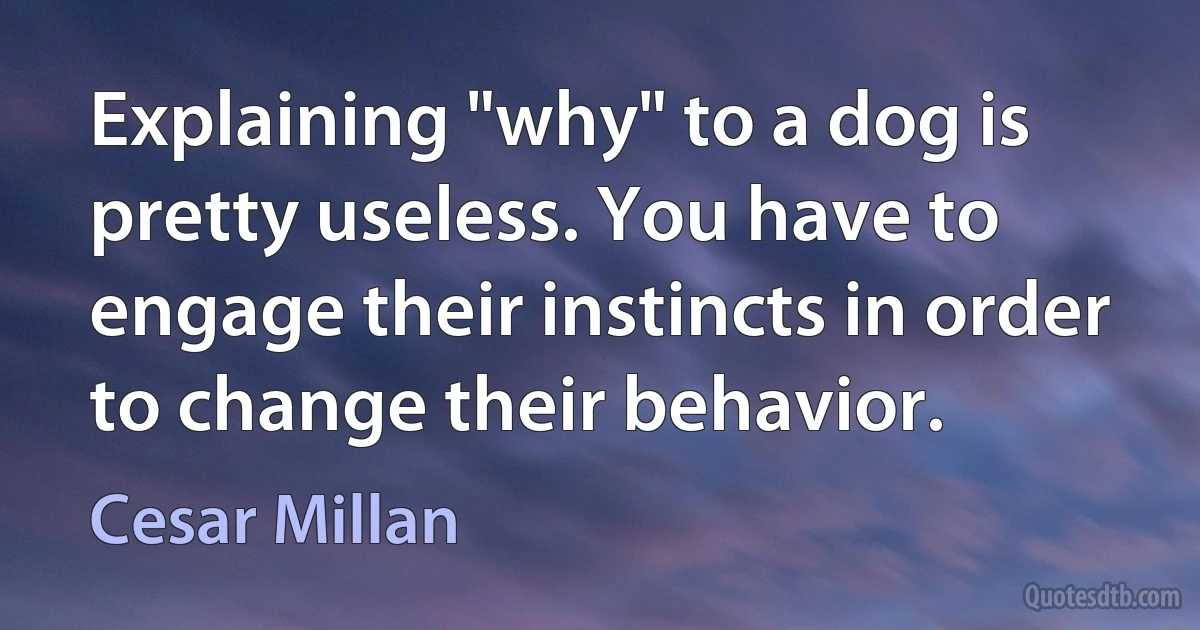 Explaining "why" to a dog is pretty useless. You have to engage their instincts in order to change their behavior. (Cesar Millan)