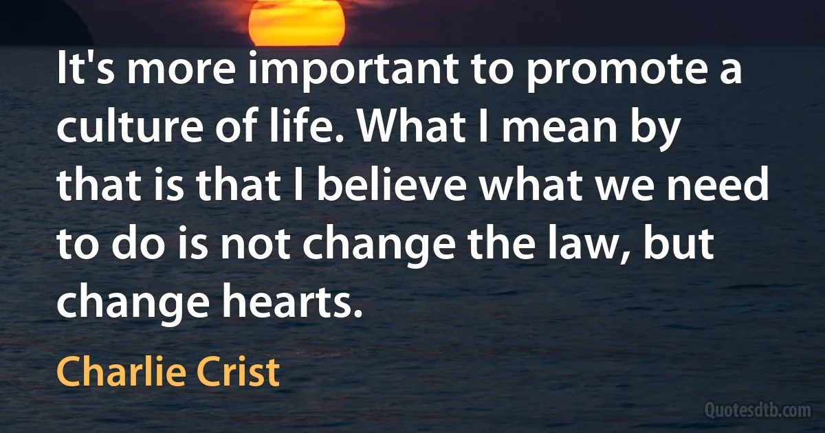 It's more important to promote a culture of life. What I mean by that is that I believe what we need to do is not change the law, but change hearts. (Charlie Crist)