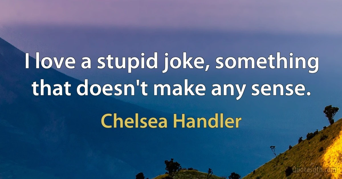 I love a stupid joke, something that doesn't make any sense. (Chelsea Handler)