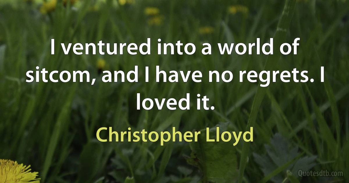 I ventured into a world of sitcom, and I have no regrets. I loved it. (Christopher Lloyd)