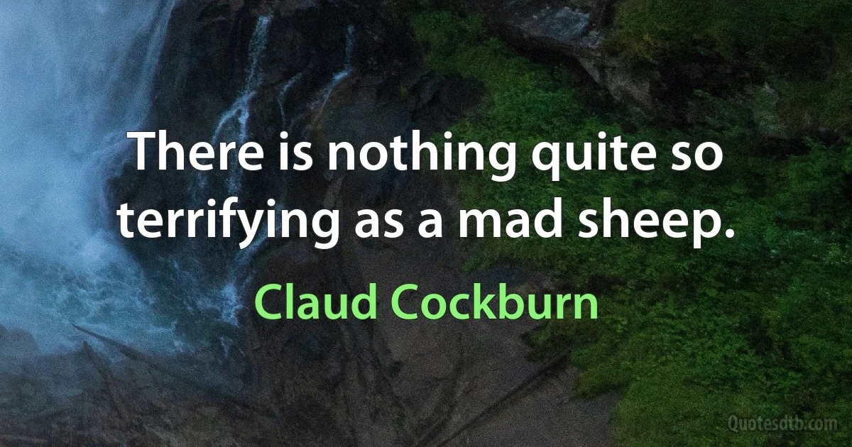 There is nothing quite so terrifying as a mad sheep. (Claud Cockburn)