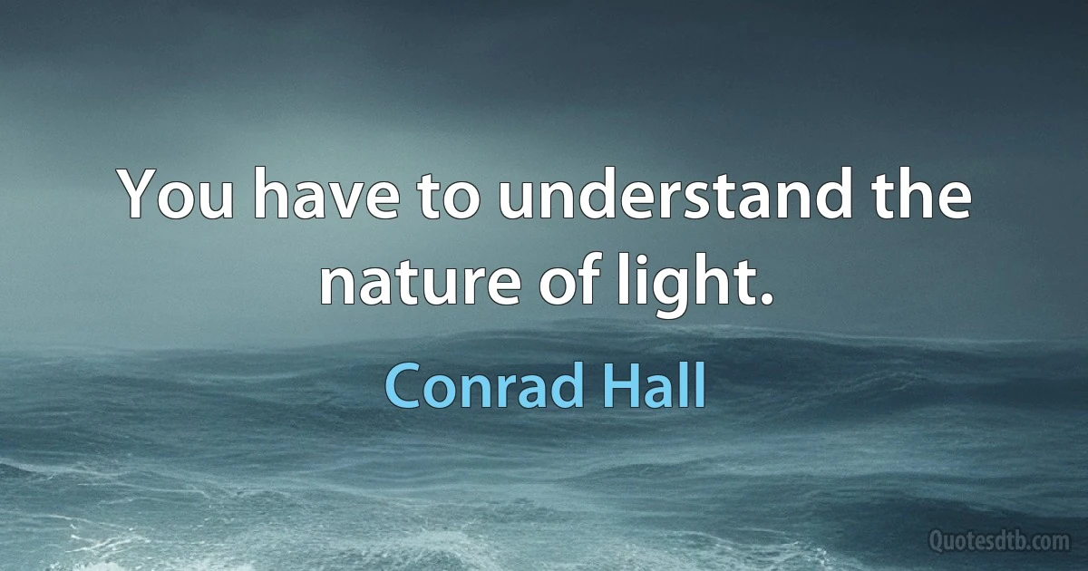 You have to understand the nature of light. (Conrad Hall)