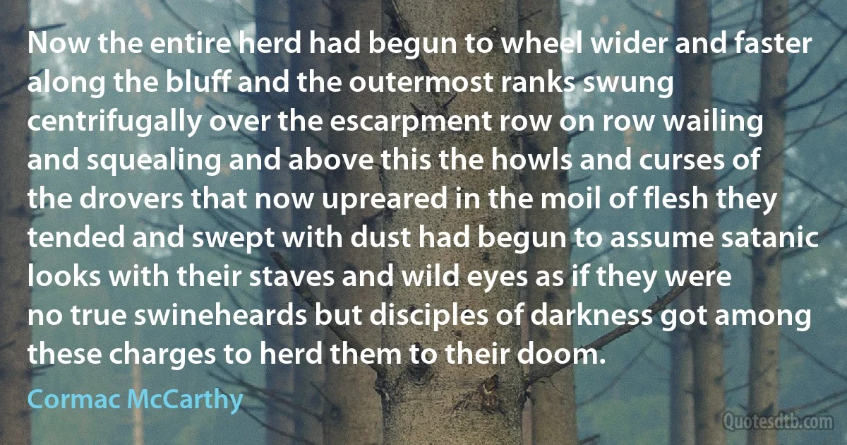 Now the entire herd had begun to wheel wider and faster along the bluff and the outermost ranks swung centrifugally over the escarpment row on row wailing and squealing and above this the howls and curses of the drovers that now upreared in the moil of flesh they tended and swept with dust had begun to assume satanic looks with their staves and wild eyes as if they were no true swineheards but disciples of darkness got among these charges to herd them to their doom. (Cormac McCarthy)