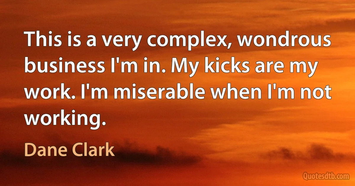 This is a very complex, wondrous business I'm in. My kicks are my work. I'm miserable when I'm not working. (Dane Clark)