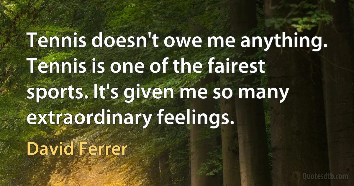 Tennis doesn't owe me anything. Tennis is one of the fairest sports. It's given me so many extraordinary feelings. (David Ferrer)