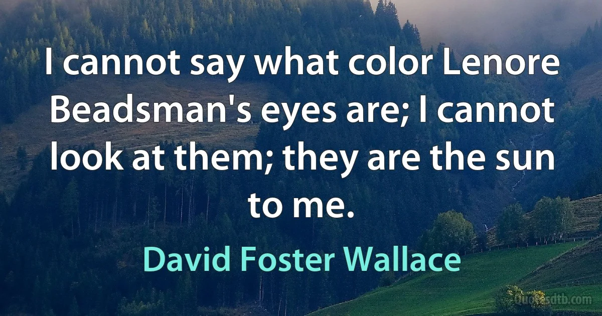 I cannot say what color Lenore Beadsman's eyes are; I cannot look at them; they are the sun to me. (David Foster Wallace)