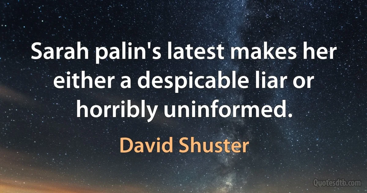 Sarah palin's latest makes her either a despicable liar or horribly uninformed. (David Shuster)