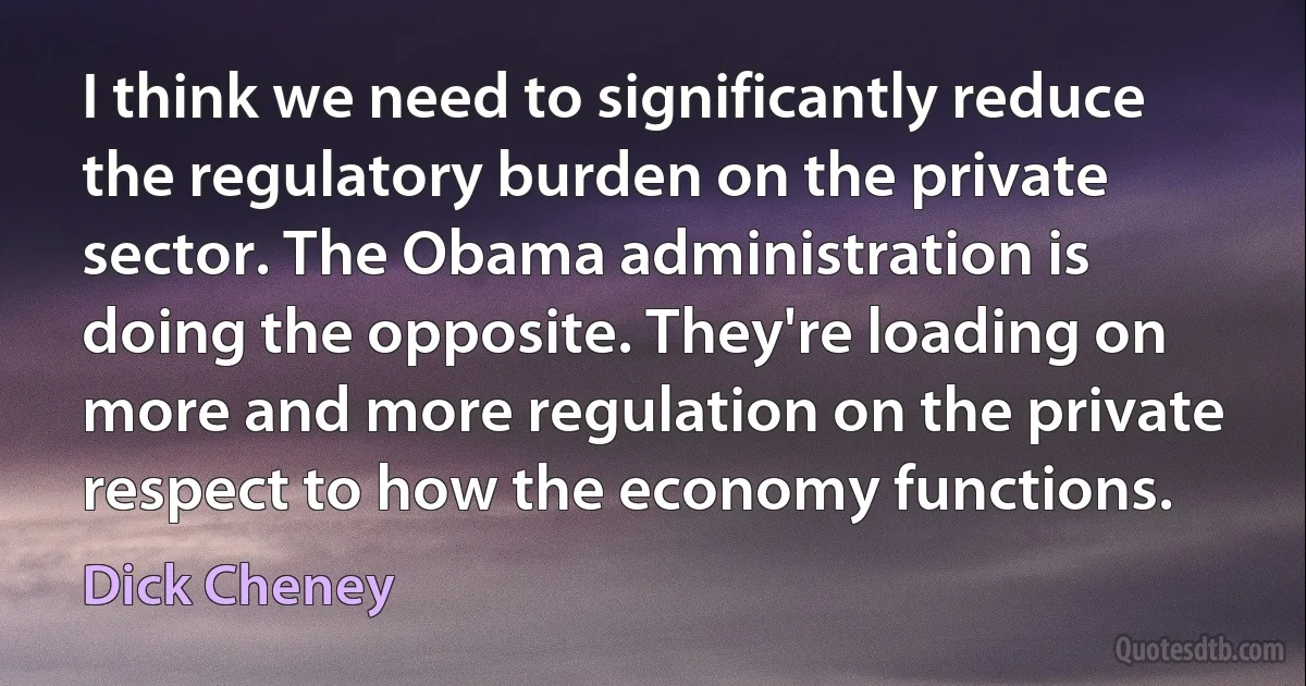 I think we need to significantly reduce the regulatory burden on the private sector. The Obama administration is doing the opposite. They're loading on more and more regulation on the private respect to how the economy functions. (Dick Cheney)