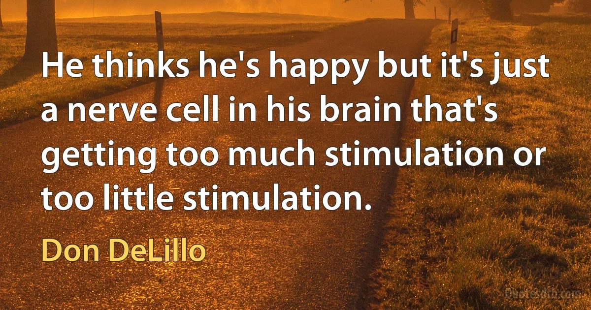 He thinks he's happy but it's just a nerve cell in his brain that's getting too much stimulation or too little stimulation. (Don DeLillo)