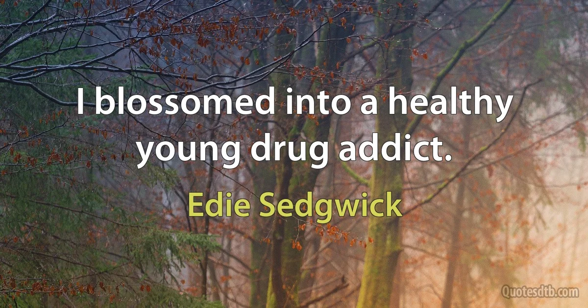 I blossomed into a healthy young drug addict. (Edie Sedgwick)