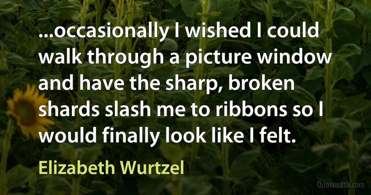 ...occasionally I wished I could walk through a picture window and have the sharp, broken shards slash me to ribbons so I would finally look like I felt. (Elizabeth Wurtzel)