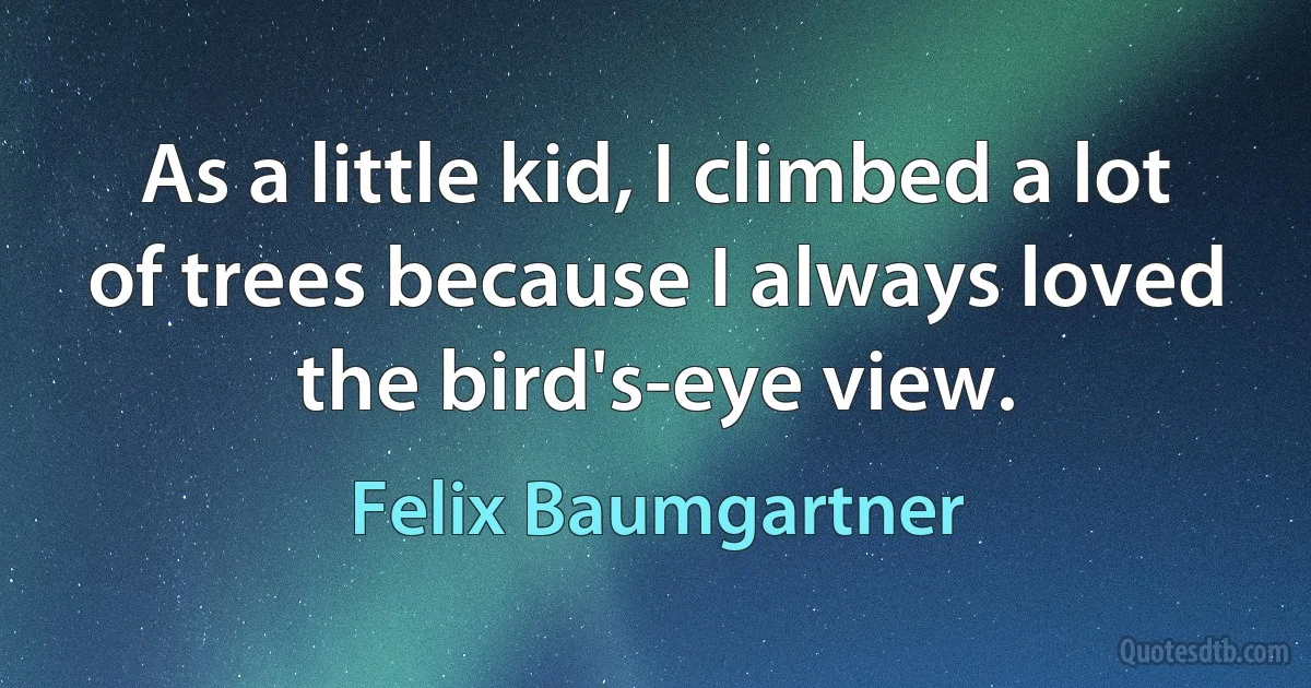 As a little kid, I climbed a lot of trees because I always loved the bird's-eye view. (Felix Baumgartner)