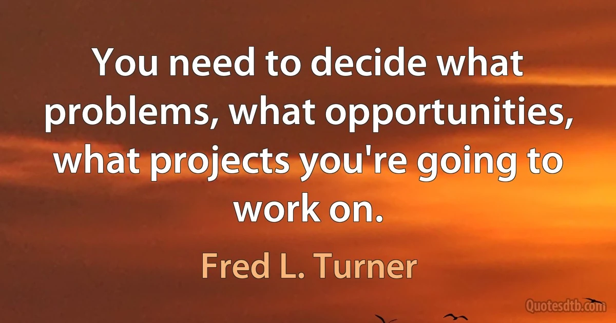 You need to decide what problems, what opportunities, what projects you're going to work on. (Fred L. Turner)