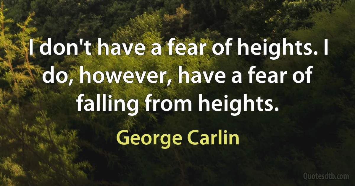 I don't have a fear of heights. I do, however, have a fear of falling from heights. (George Carlin)