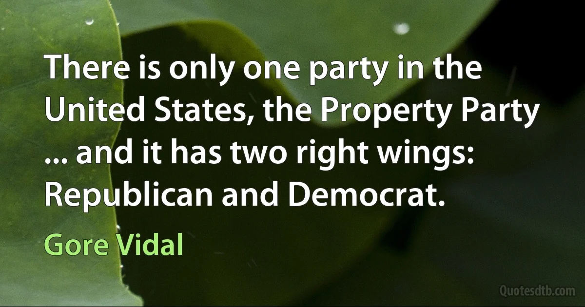 There is only one party in the United States, the Property Party ... and it has two right wings: Republican and Democrat. (Gore Vidal)