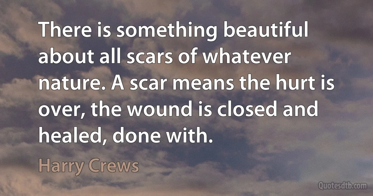 There is something beautiful about all scars of whatever nature. A scar means the hurt is over, the wound is closed and healed, done with. (Harry Crews)