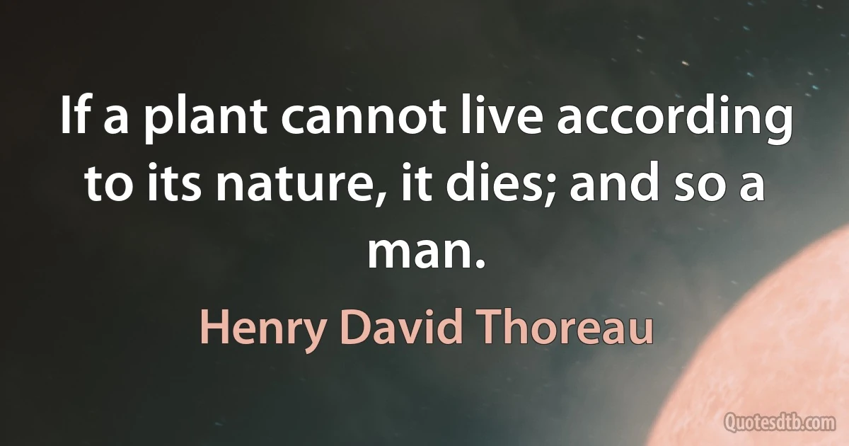 If a plant cannot live according to its nature, it dies; and so a man. (Henry David Thoreau)