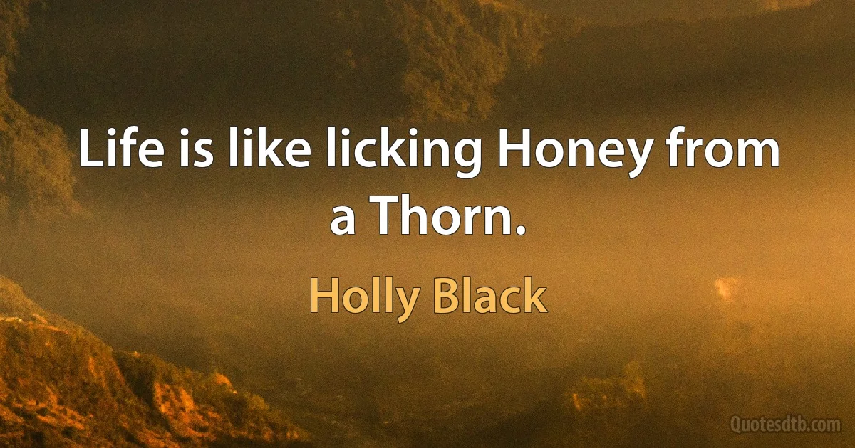 Life is like licking Honey from a Thorn. (Holly Black)