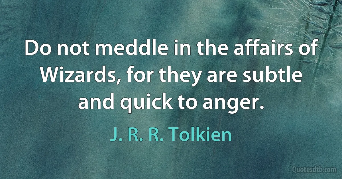 Do not meddle in the affairs of Wizards, for they are subtle and quick to anger. (J. R. R. Tolkien)