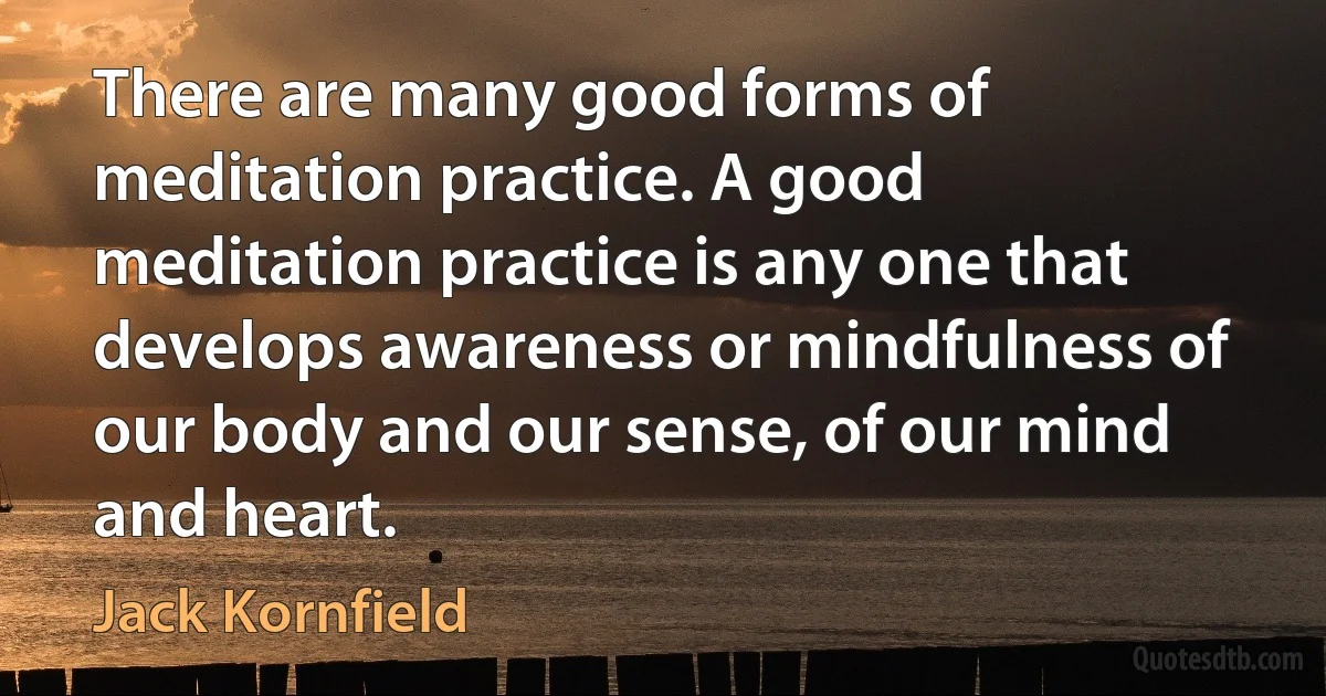 There are many good forms of meditation practice. A good meditation practice is any one that develops awareness or mindfulness of our body and our sense, of our mind and heart. (Jack Kornfield)