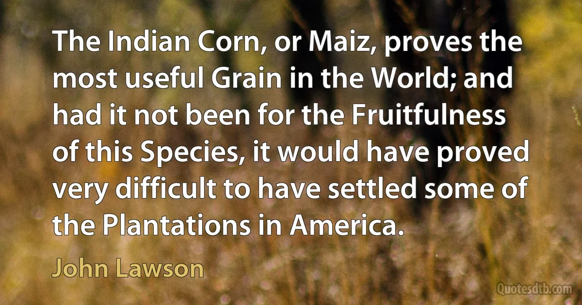 The Indian Corn, or Maiz, proves the most useful Grain in the World; and had it not been for the Fruitfulness of this Species, it would have proved very difficult to have settled some of the Plantations in America. (John Lawson)